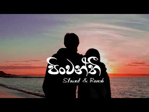 Pinwanthi Rap Slowed + reverb version | #razheen #slowedandreverb