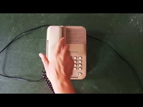 Fabiana Striffler - Konferenzverschaltung