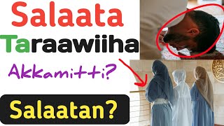 Download lagu Salaata Taraawiihaa | Akkamitti Salaatan? Meeqa Salaatan? Ajrii Akkamii Qaba mp3