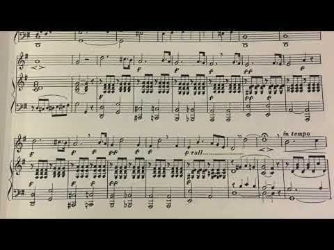 Seidler 8 l'arte del cantare