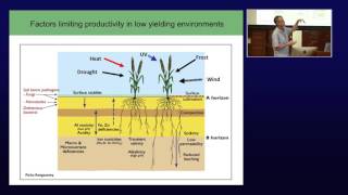 KAUST Professor of Plant Science Mark Tester talks about salinity tolerance in crop plants
