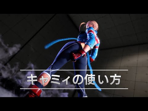 إȥ꡼ȥե6٥饯ɡåߥCammy