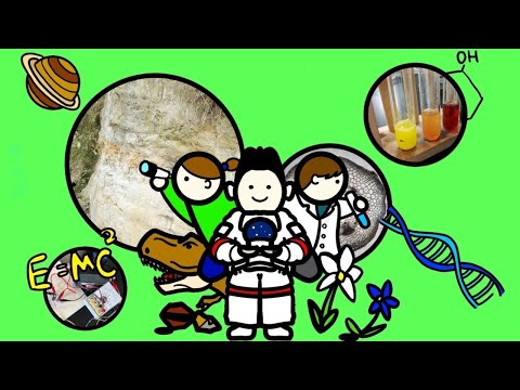 8 理科領域専攻