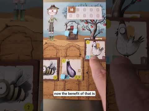 A Typical Decision Point in La Famlia Hort