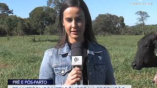Miniatura do vídeo