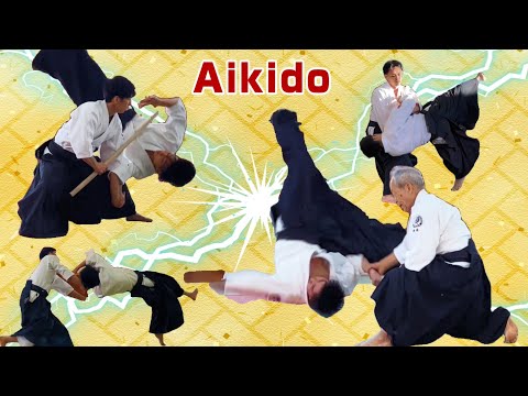Dynamic and beautiful Aikido【Aikido Shinburenseijuku】