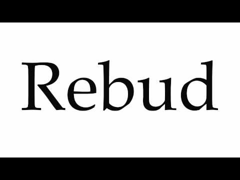 How to Pronounce Rebud
