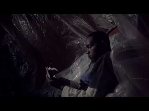 Mamba Cinco - Trim (Official Video)