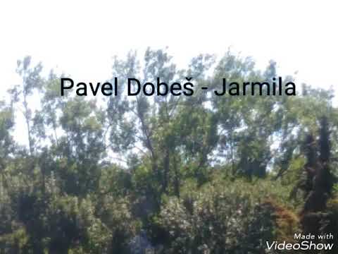 AV 2018 27 Pavel Dobes - Jarmila