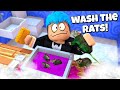 Wash The Rats | Roblox | PALIGUAN ANG MGA DAGA BAGO KAININ!