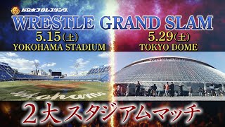 1回切りの使用に終わった理由!球場外で行われた、謎のマスクマン対決!新日本プロレスが29年ぶりにチャレンジ!『横浜スタジアムとプロレス」!
