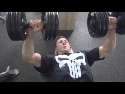 DIA DE TREINAMENTO - Musculação