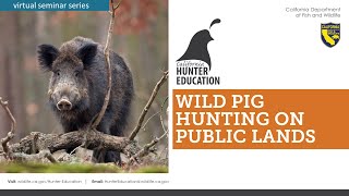 AHE 2021- Webinar #3-Wild Pig Hunting on Public Lands