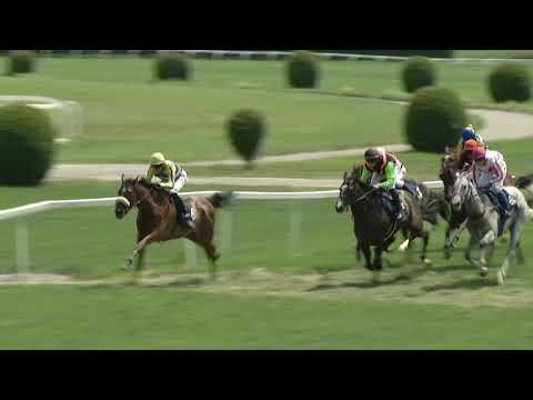 4. dostih - 62. Zlatý pohár společnosti Tipsport - dostihy Chuchle Arena Praha 27. 6. 2021