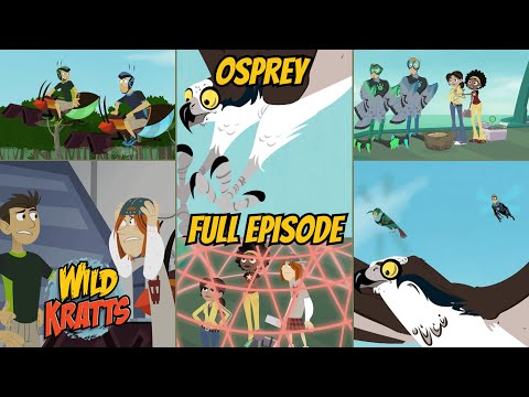 Wild Kratts S03E05 - Osprey (Full Episode)
