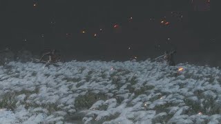 【SEKIRO】完全初見で駆け抜ける！ part final