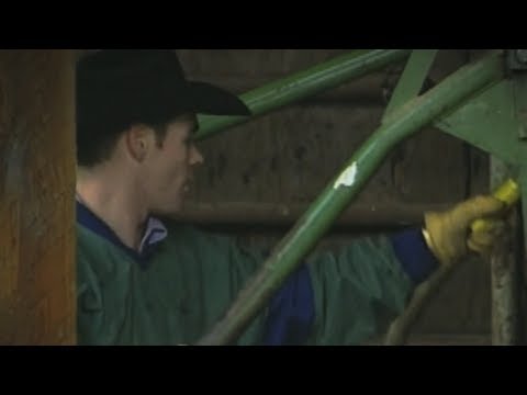 PBR 20th Anniversary: Ross Coleman