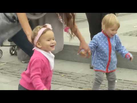 Moj ceger 08.12.2018. - Dekoracije od bundeve, Zemunska pijaca