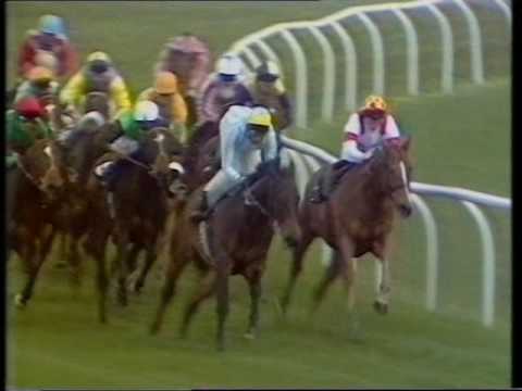 1991 Miller Construction Spring Cup Handicap
