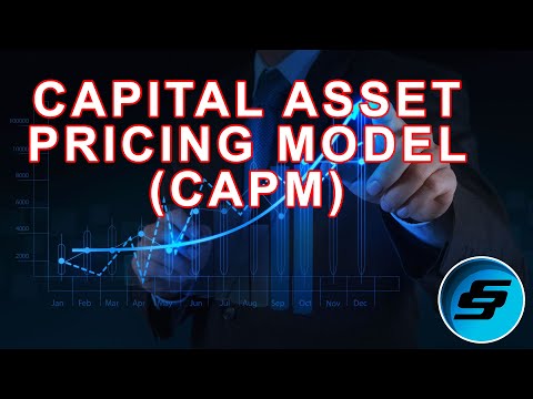 Capital Asset Pricing Model CAPM | Finance Economics