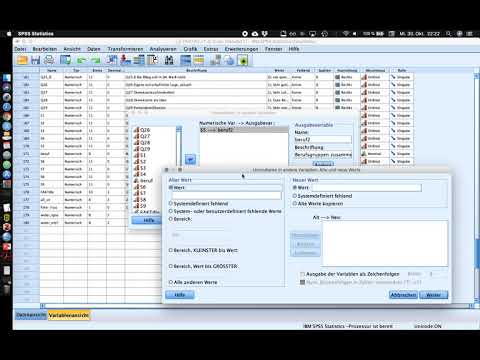 024 Umcodieren von Variablen mit RECODE INTO in SPSS mit Menü-Befehl