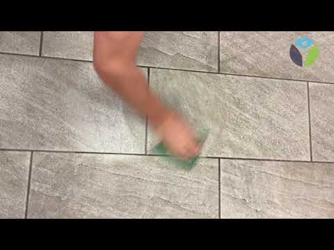 Video 1