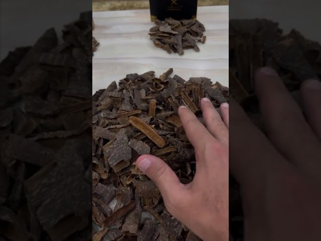 عود بيزا تربل و دبل غابات جاروهلز - الطيب الأصيل