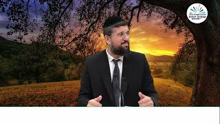 השליחות המסתורית | מגילת רות | פרק ד | הרב אליהו עמר (הרב אליהו עמר) - התמונה מוצגת ישירות מתוך אתר האינטרנט יוטיוב. זכויות היוצרים בתמונה שייכות ליוצרה. קישור קרדיט למקור התוכן נמצא בתוך דף הסרטון השליחות המסתורית | מגילת רות | פרק ד | הרב אליהו עמר (הרב אליהו עמר) - התמונה מוצגת ישירות מתוך אתר האינטרנט יוטיוב. זכויות היוצרים בתמונה שייכות ליוצרה. קישור קרדיט למקור התוכן נמצא בתוך דף הסרטון