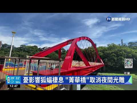 瀕臨絕種! 花蓮菁華橋取消光雕護台灣狐蝠