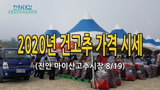 2020년 건고추 가격 시세 진안 고추시장 8월 19일