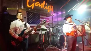 NO SABES AMAR - Los Palominos @ McAllen TX