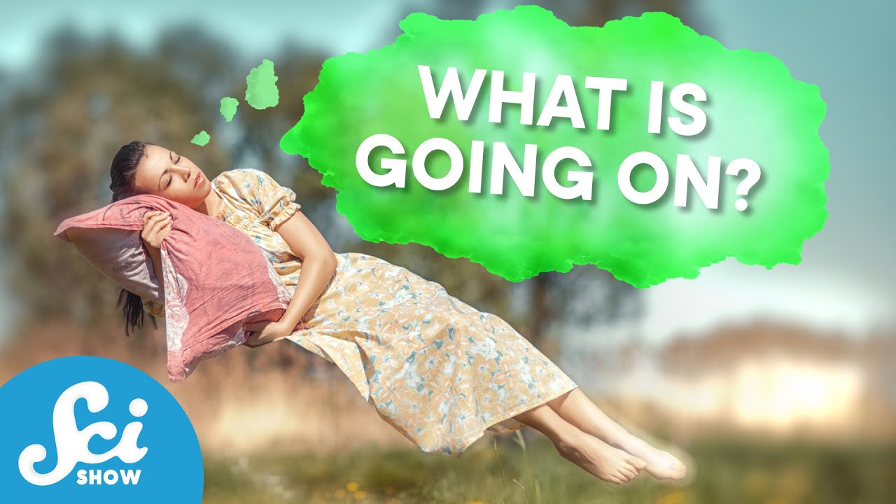 What Are We Really Doing While We Sleep | Compilation