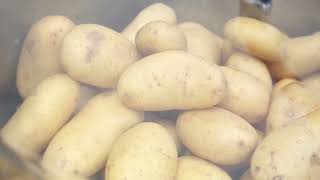 Descascador de batatas profissional