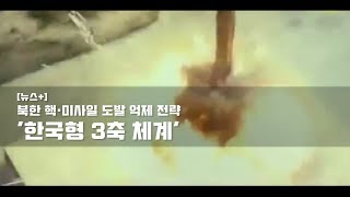 북한 핵 · 미사일 도발 억제 전략 '한국형 3축 체계'