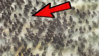 11 BIGGEST Creature Herds