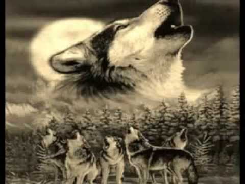 Վախթանգ Հարությունյան - Ոչինչ չի փոխվի wmv