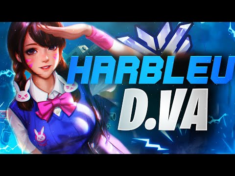 Harbleu Dva and Roadhog gameplay! [ Overwatch Season 28 Top 500 ]