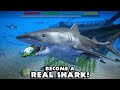 Great White Shark Family Simulator 3D Ultimate Shark Simulator 1