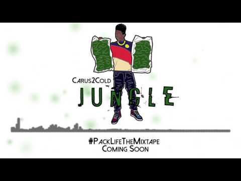 JUNGLE - @Carus2Cold