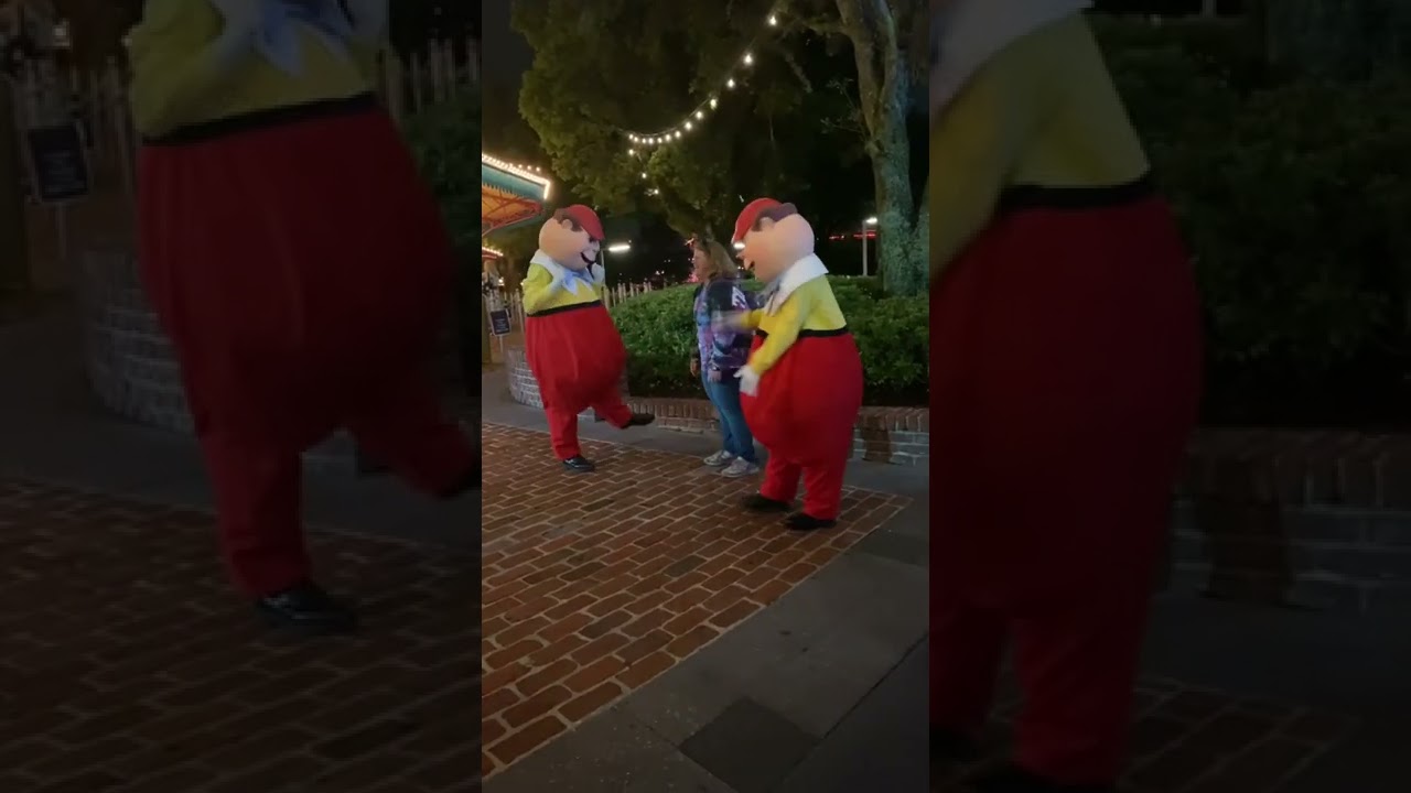 Tweedle Dum and Tweedle Dee Meet and Greet 🤩