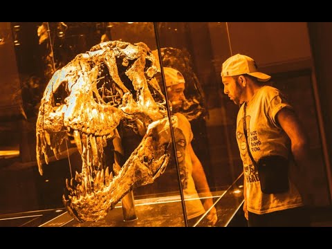 BOYKOTTone - Kreidezeit (Official 4K Video)