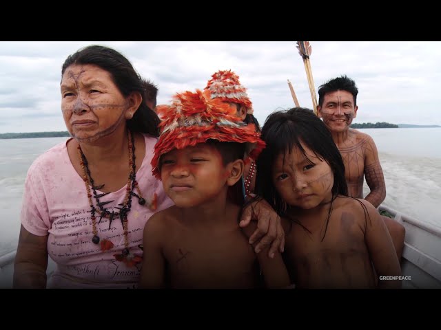 Protecting the Amazon Demands Radical Change