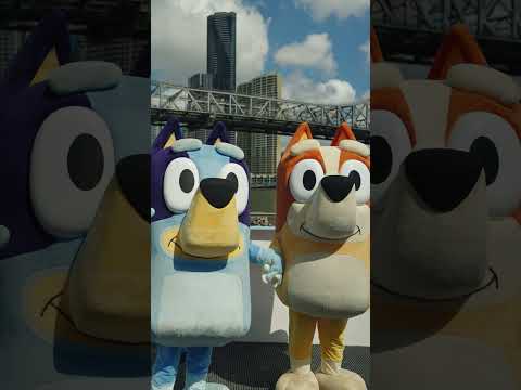 Brisbane Welcomes Bluey and Bingo Themed CityDogs 💙🧡 | Bluey #ytshorts