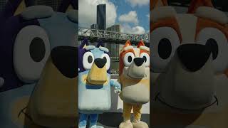 Download lagu Brisbane Welcomes Bluey and Bingo Themed CityDogs 💙🧡 | Bluey #ytshorts mp3 Download lagu Brisbane Welcomes Bluey and Bingo Themed CityDogs 💙🧡 | Bluey #ytshorts mp3