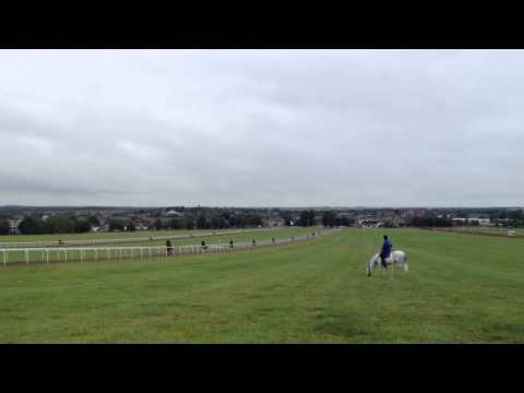 TB works on Warren Hill, Newmarket England