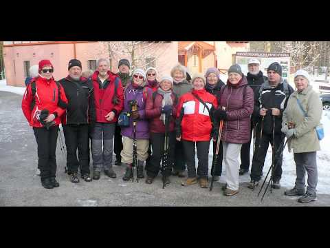 Les Včelný 7.2.2019. Píseň: Michal Tučný - Šťastné staré slunce.