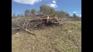 Excavator Shears - selective limb removal, especiall avocado and harvesting  - video 5