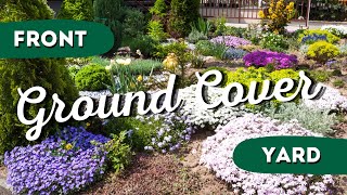 7 Ground Cover Plants for Front Yard Landscaping 🌸🏠