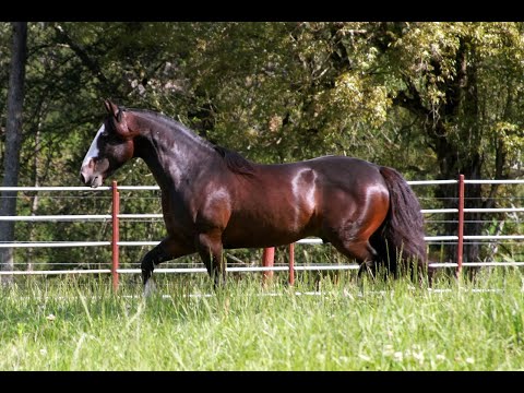 Aqui esta sua próxima  cobertura