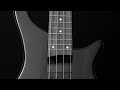 Eisbrecher - Zeitgeist (bass backing track)